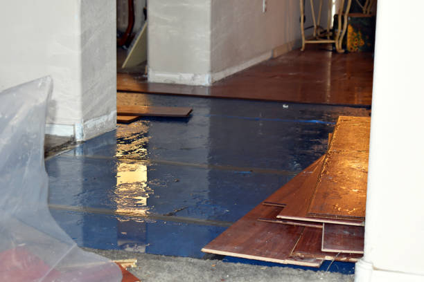 Professional Burst Pipe Cleanup technician working in North Stonington, CT